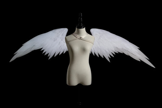Wind Crest Wings