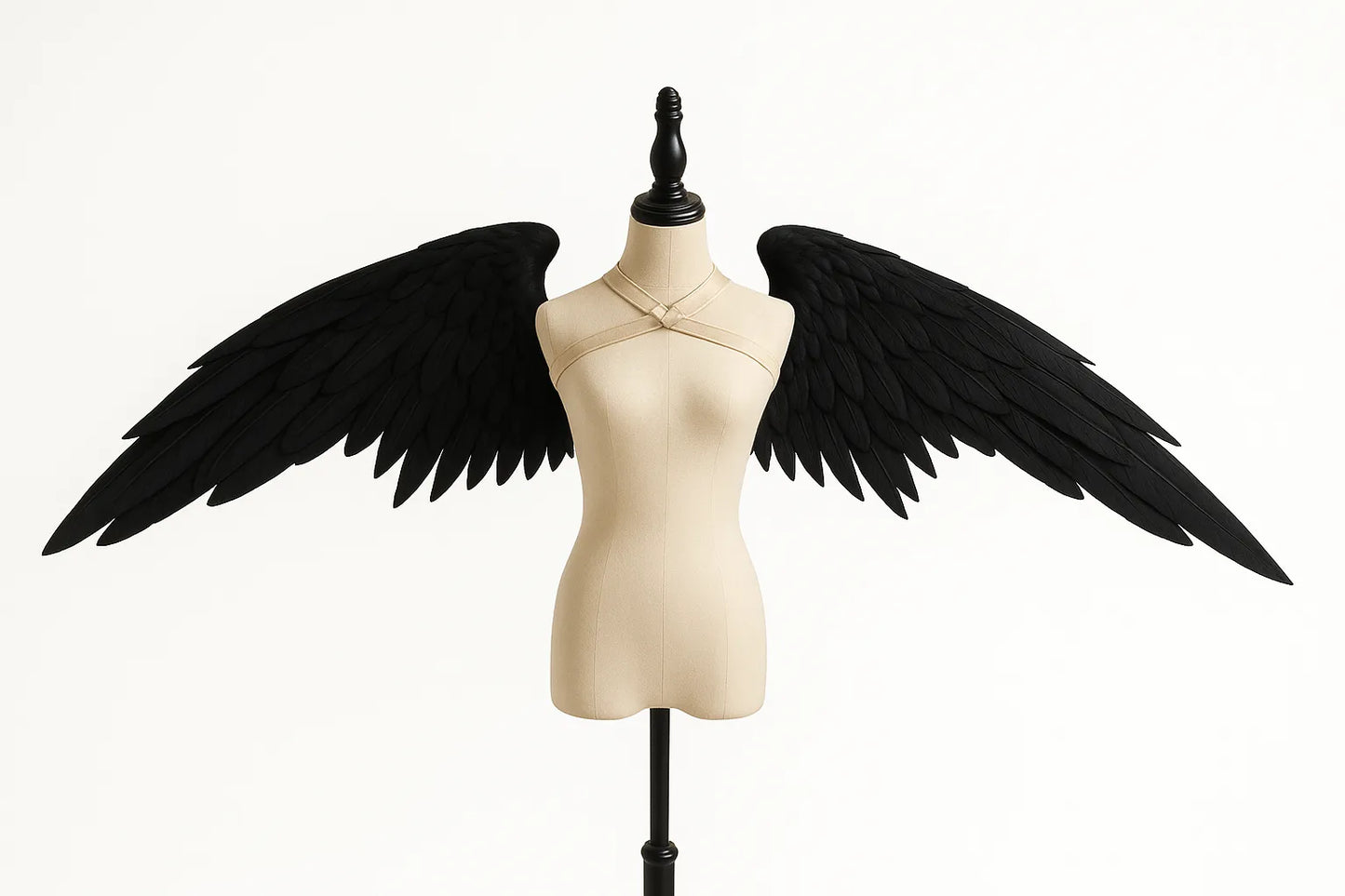Wind Crest Wings